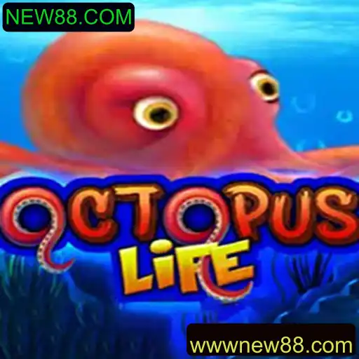 Explorando o Mundo de OctopusLife: Um Guia Completo